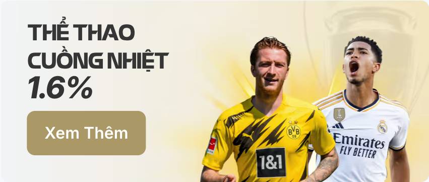 Thể thao cuồng nhiệt hoàn trả 1.6%