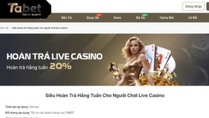 Thông tin ưu đãi hoàn trả 20% tại Live Casino TABET